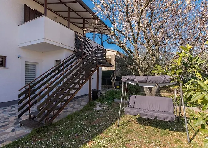 Novigrad 2536d
