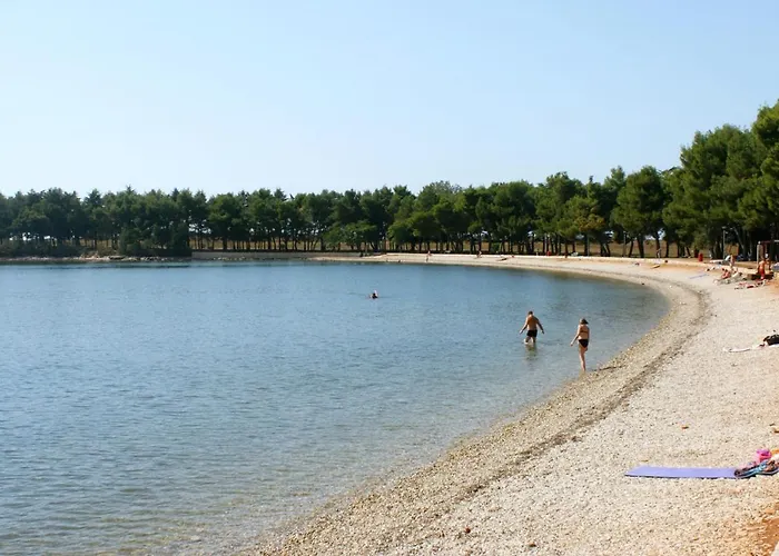 Novigrad 2536d