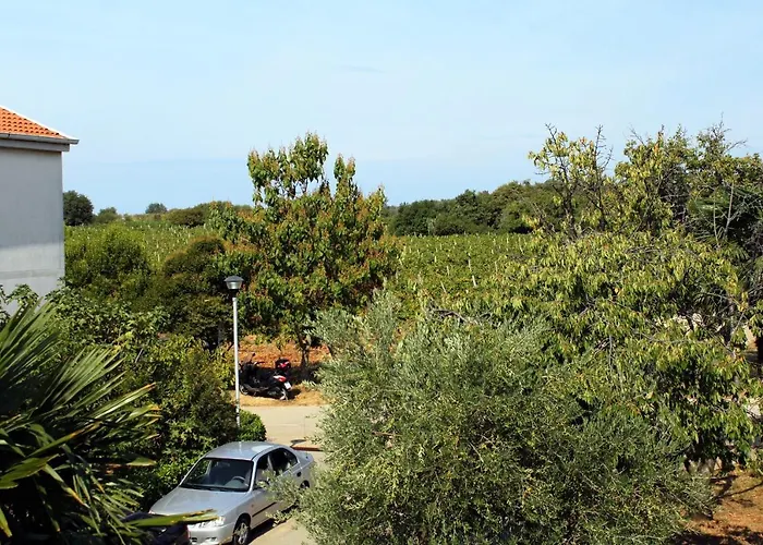Novigrad 2536d Apartamento *
