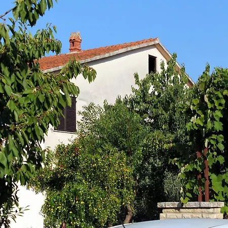 Apartment Novigrad 2536d *