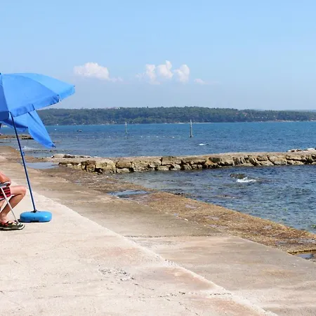 Apartment Novigrad 2536d *