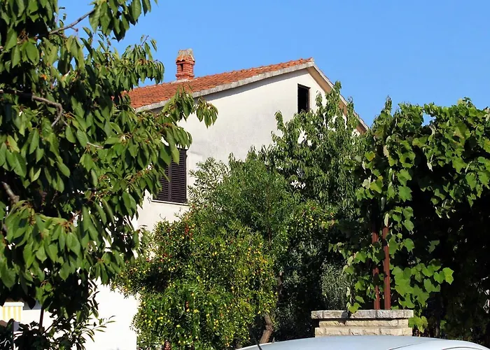 Διαμέρισμα Novigrad 2536d *