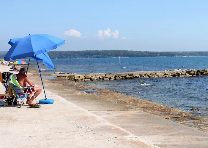 Apartman Novigrad 2536d *