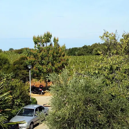 Novigrad 2536d דירה *